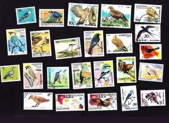  50 шт./упаковка птицы все разные из многих стран НЕТ повторных почтовых марок для коллекционирования