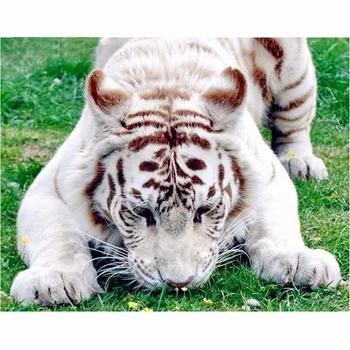 Животные Тигр 3D Сделай сам Алмазная живопись Вышивка крестом Кристалл Рукоделие Алмазная вышивка Полный квадрат Сверло Мозаика Набор Декоративный